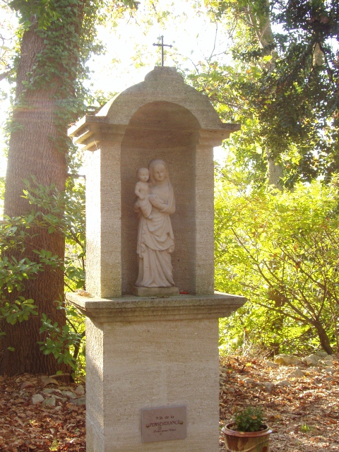 P1010008_2_480x640_.jpg